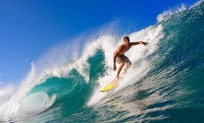 开云体育登录-芝加哥的寂静与轰鸣，武切维奇的抢七之夜