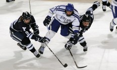 开云体育中国-橙色风暴席卷法兰西，哈弗茨冠军级表现助荷兰正面击溃巴黎