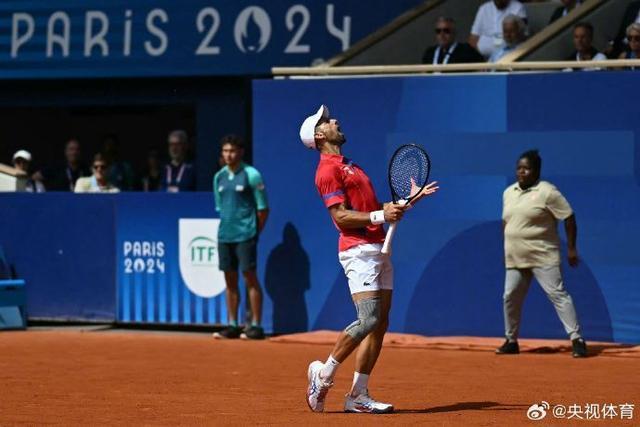 法国网球队绝杀世界网球队，德约科维奇关键制胜的简单介绍