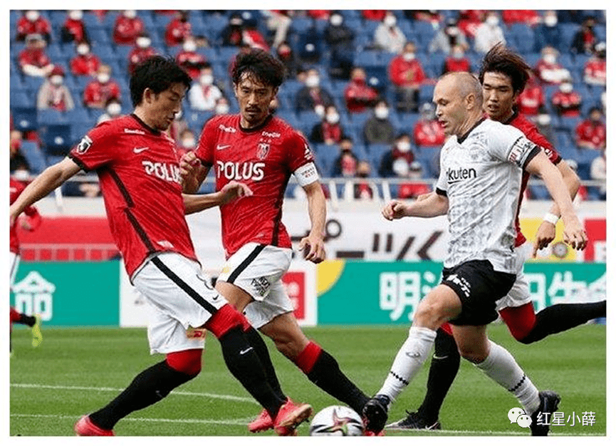 关于格尔森基兴主场胜利，球队保级前景乐观的信息