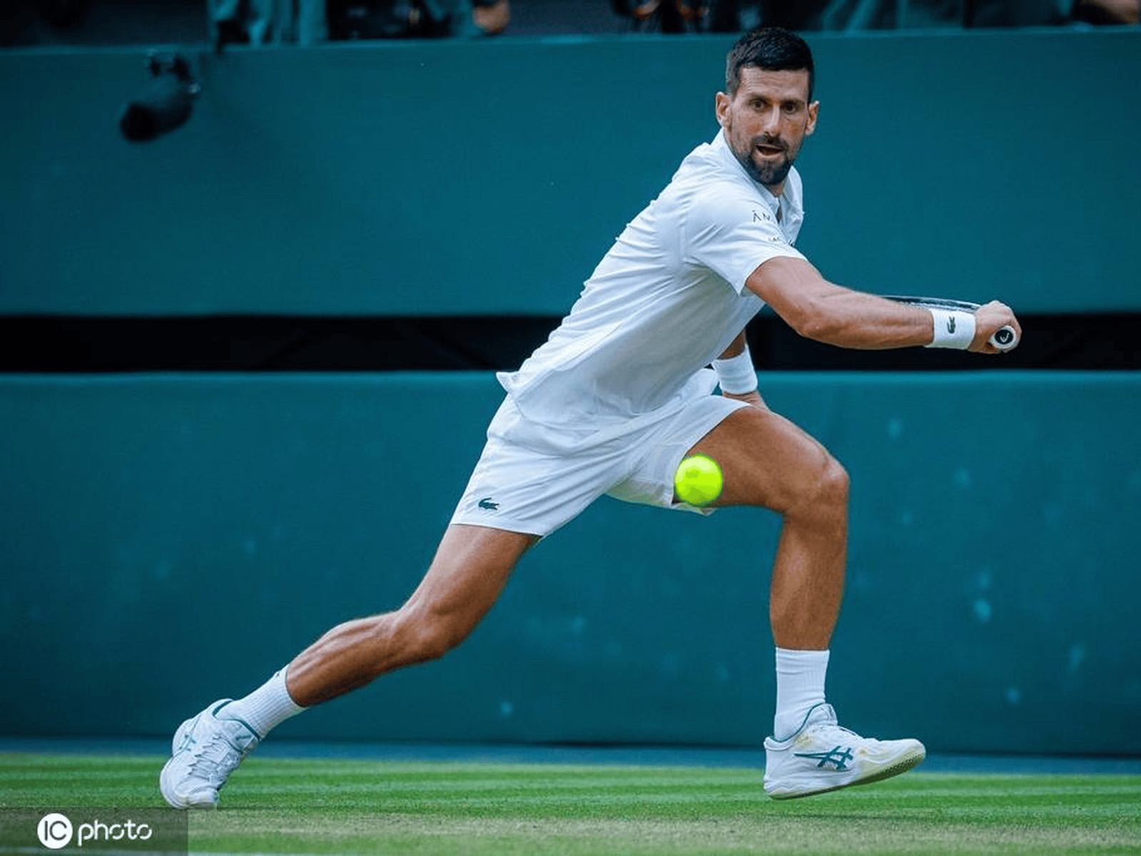 拉沃尔杯逆转ATP总决赛,德约科维奇点燃赛场的简单介绍 拉沃尔杯逆转ATP总决赛,德约科维奇点燃赛场的简单介绍