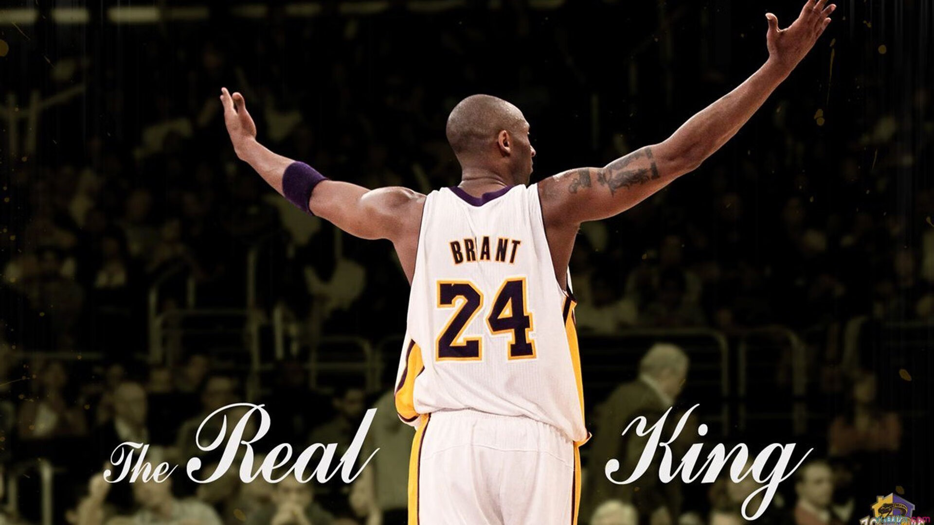 从安菲尔德到马赛之夜，努涅斯如何用一记世界波打破质疑，证明自己的唯一性